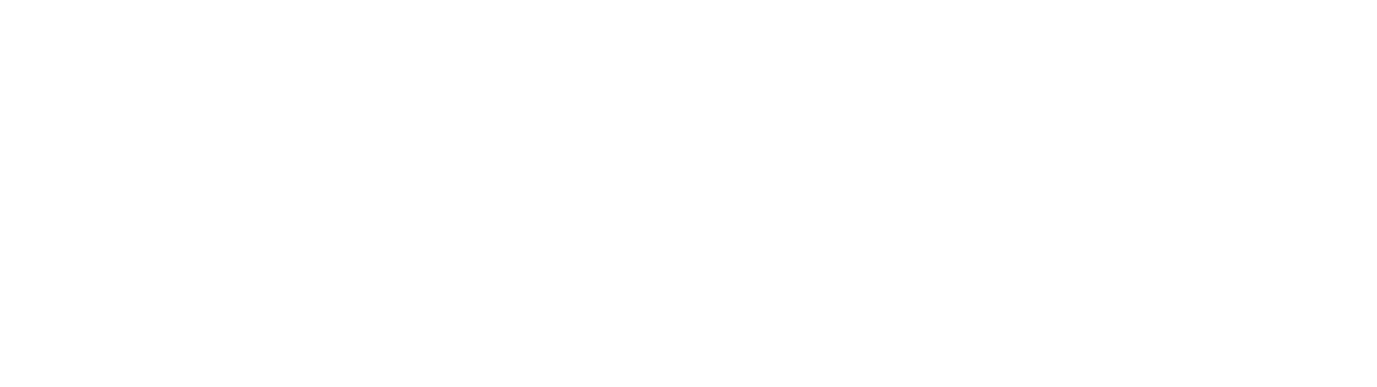SOULAN LLC